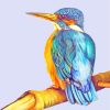 Kingfisher Art paint by numbers