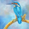 Kingfisher Bird Paint by numbers