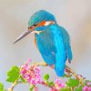 Kingfisher On Flowers Branch paint by numbers