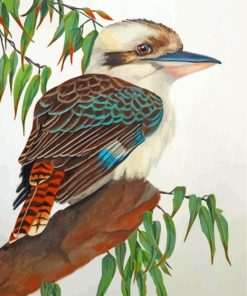 Kookaburra Bird paint by numbers