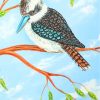 Kookaburra paint by numbers