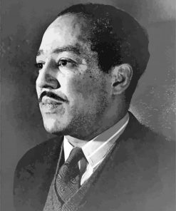 Langston Hughes paint by number