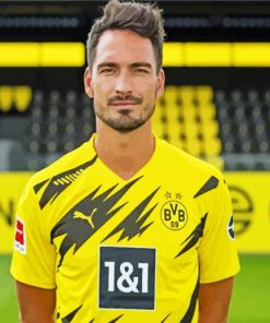 Mats Hummels paint by numbers