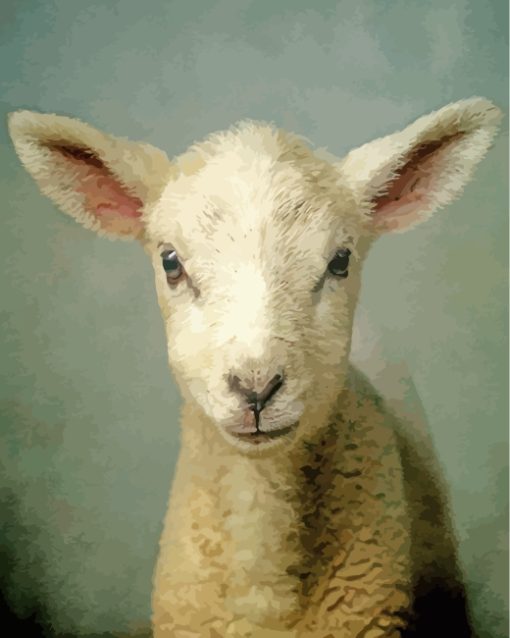 Newborn Lamb paint by numbers