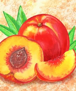 Peach Fruit Art paint by numbers