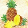 Pineapple Fruit Still Life paint by numbers