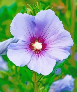 Purple Hibiscus Flower paint by numbers