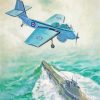 Royal Navy Plane Arts paint by numbers