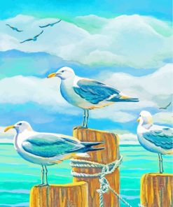 Seagull Birds paint by numbers