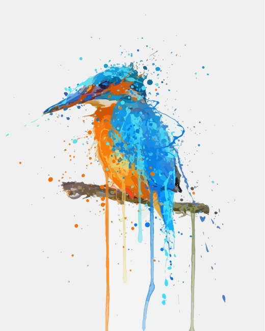 Splatter Kingfisher Bird paint by numbers