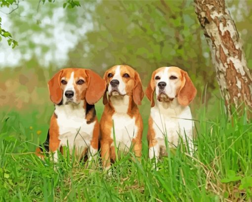 The Beagles Dogs paint by numbers