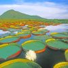 Water Giant Lilies Brazil paint by number