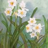 White Daffodil Flowers paint by number