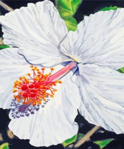 White Hibiscus paint by numbers