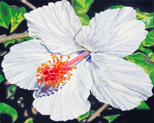 White Hibiscus paint by numbers