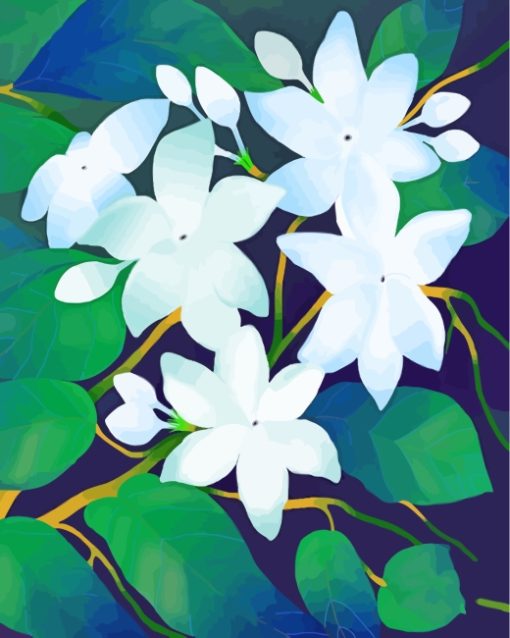 White Jasmin Flowers paint by numbers