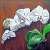 White Orchids paint by numbers