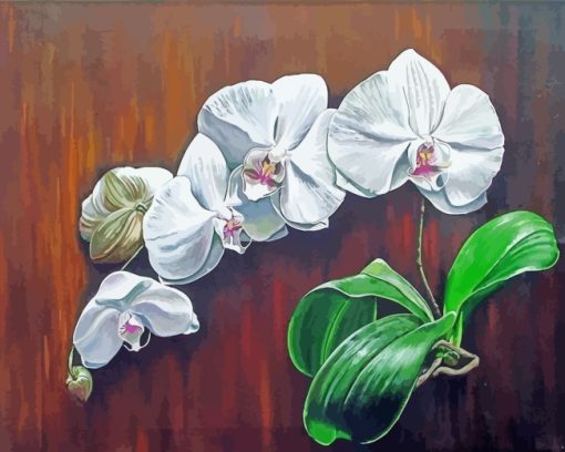 White Orchids paint by numbers