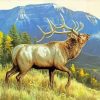 Wild Elk Animal paint by numbers