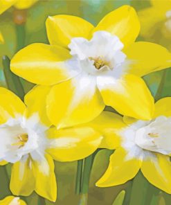 Yellow Daffodil paint by number