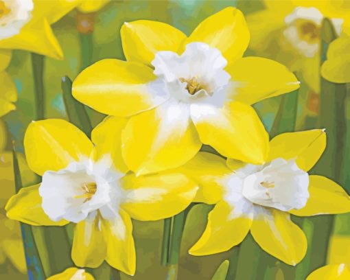 Yellow Daffodil paint by number