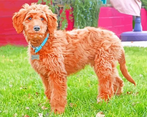 Adorable Golden Doodle paint by numbers