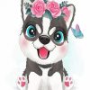 Adorable Husky paint by numbers
