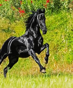 Aesthetic Friesian Horse paint by number