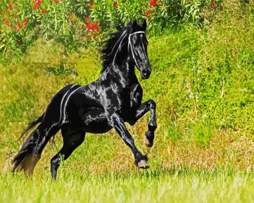 Aesthetic Friesian Horse paint by number