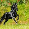 Aesthetic Friesian Horse paint by numbers