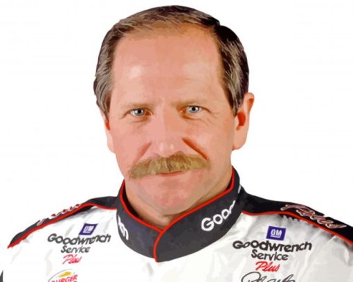 Aesthetic Dale Earnhardt paint by number