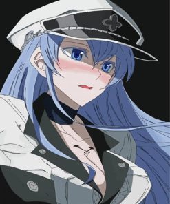 Aesthetic Esdeath paint by numbers