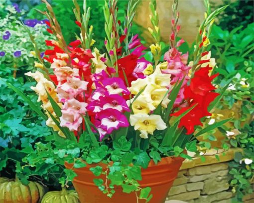 Aesthetic Gladiolus Flowers paint by number