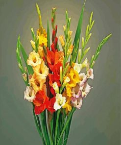 Aesthetic Gladiolus paint by number