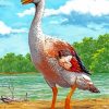 Aesthetic Goose Illustrations paint by number