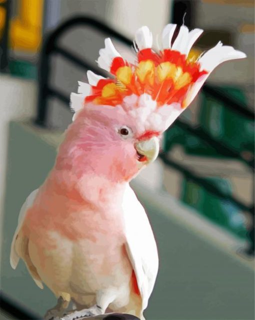 Aesthetic Galah Bird paint by number