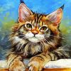 Aesthetic Maine Coon Cat paint by numbers
