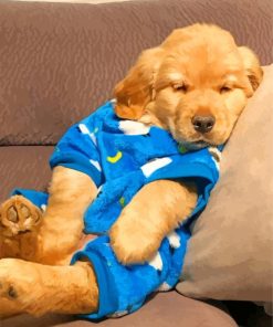 Afternoon Nap Golden Retriever Puppy paint by number