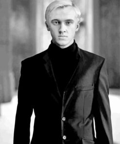 Black And White Malfoy paint by numbers