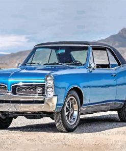 Blue Gto paint by numbers