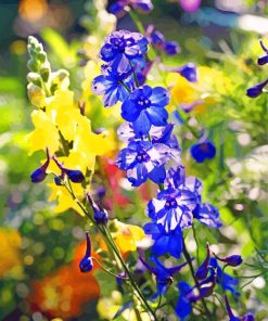 Blue Larkspur paint by numbers