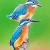Blue Kingfisher paint by numbers