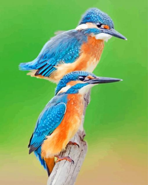 Blue Kingfisher paint by numbers