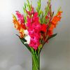 Bouquet Of Gladiola paint by number
