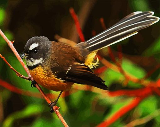 Brown Fantail Bird paint by number