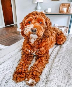 Brown Golden Doodle paint by number