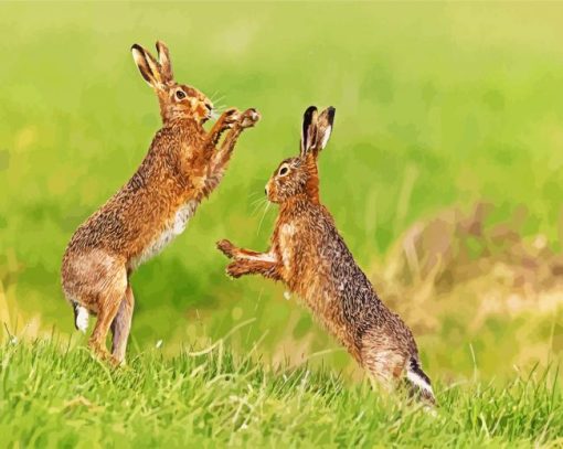 Brown Hares Boxing paint by numbers