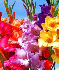 Colorful Gladiola paint by number
