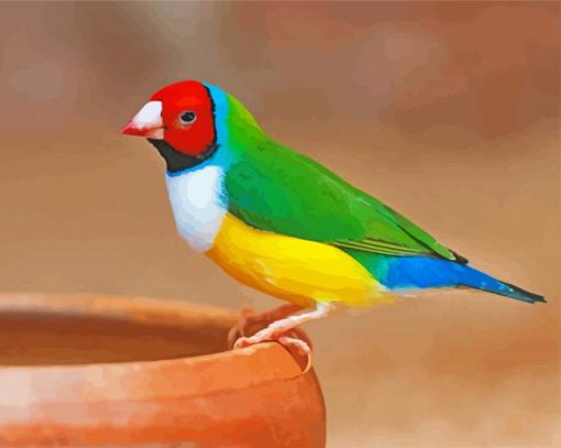 Colorful Finch paint by number