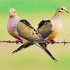 Cute Doves paint by number